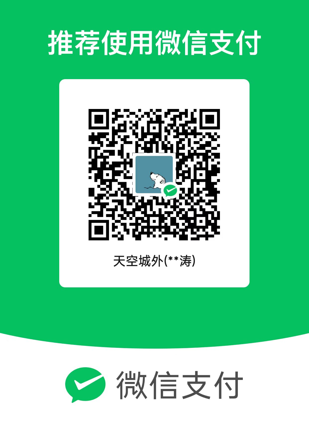微信支付收款码:绿色海报,上方写着「推荐使用微信支付」,中间是收款二维码,收款人显示为「天空城外(**涛)」,下方是微信支付标识